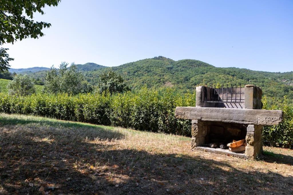Fienile Panoramico Nel Chianti Villa Greve in Chianti Dış mekan fotoğraf